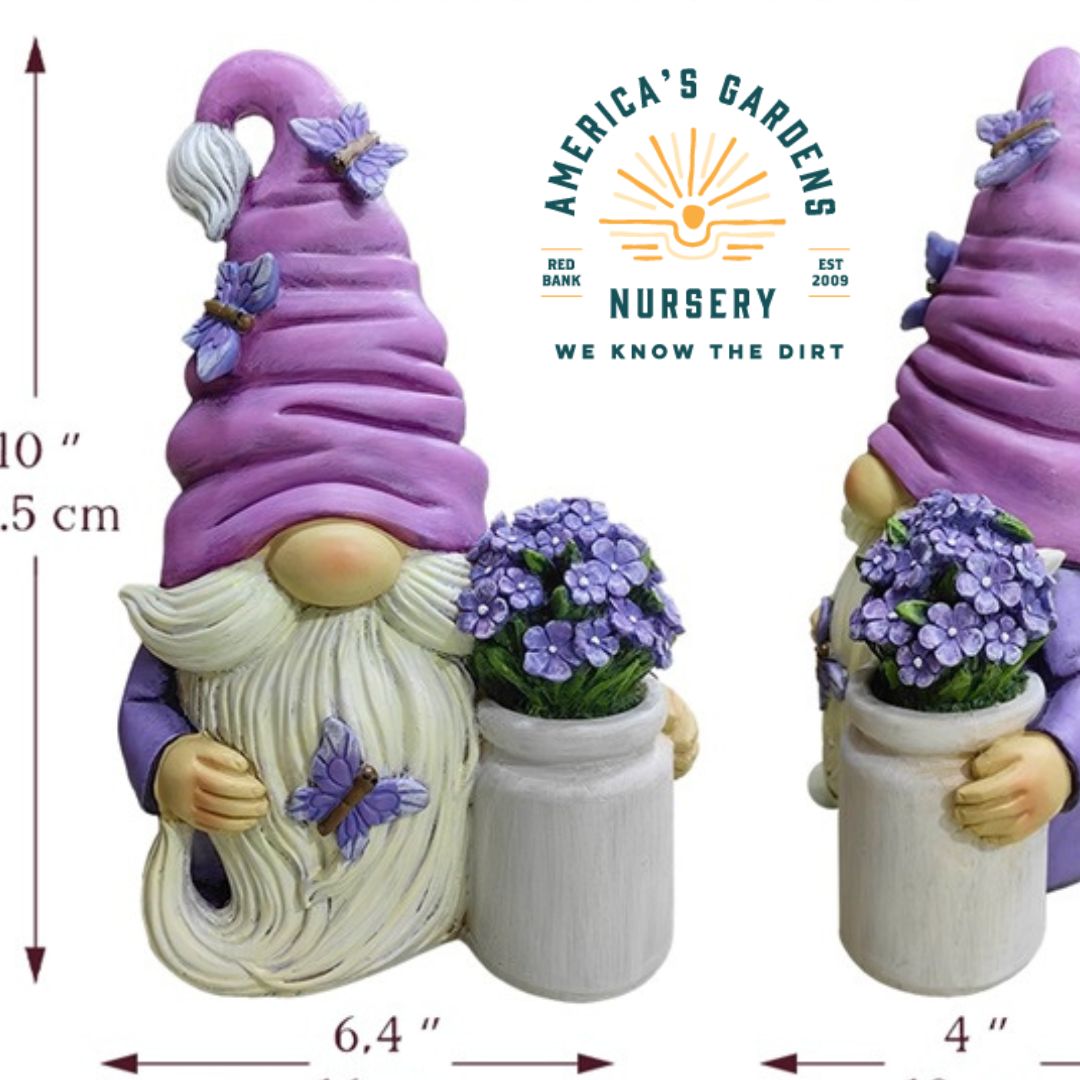 Lavender Gnome Figurine - America's Gardens Nursery