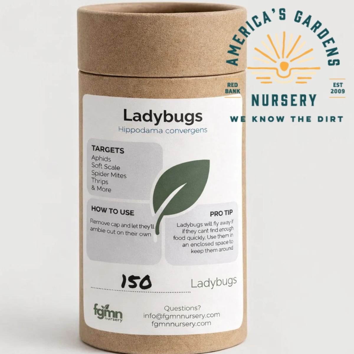 Live Lady Beneficial Bugs - America's Gardens Nursery