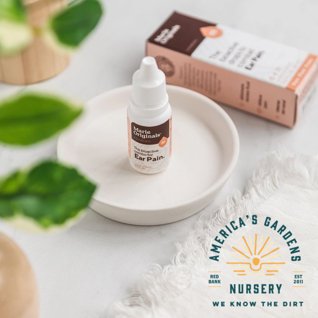 Marie's Ear Pain Relief Drops - America's Gardens Nursery