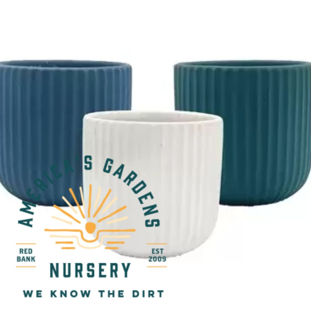 Michael Carr Scraped Planters - America's Gardens Nursery