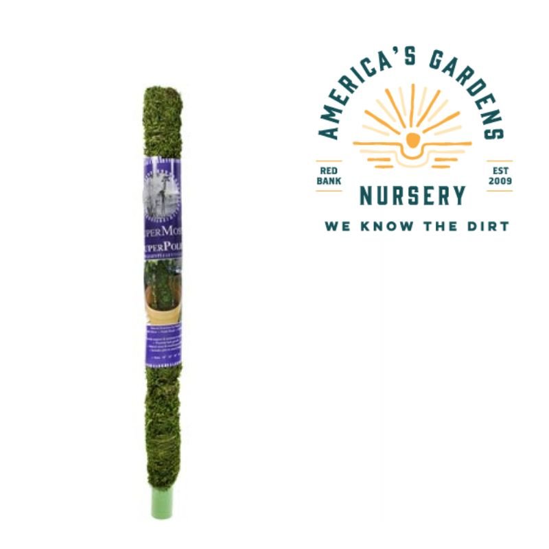 Moss Poles - America's Gardens Nursery