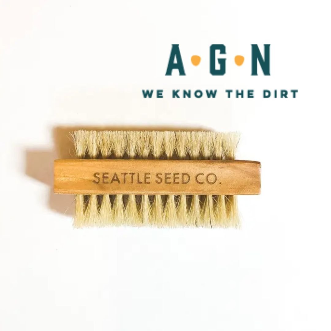 Nail Gardener Brushes - America's Gardens Nursery