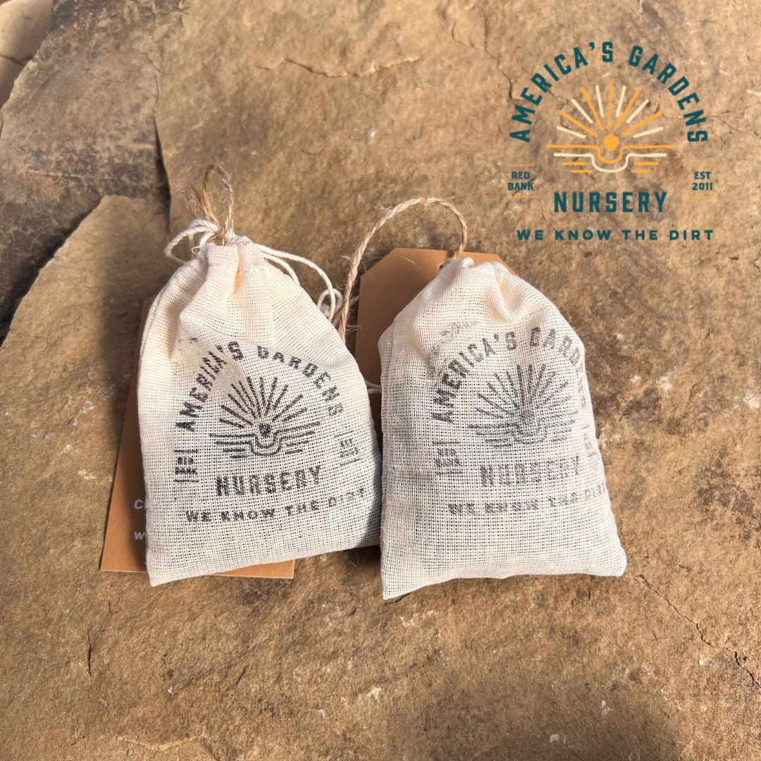 Native Prairie Clover Seed - America's Gardens Nursery