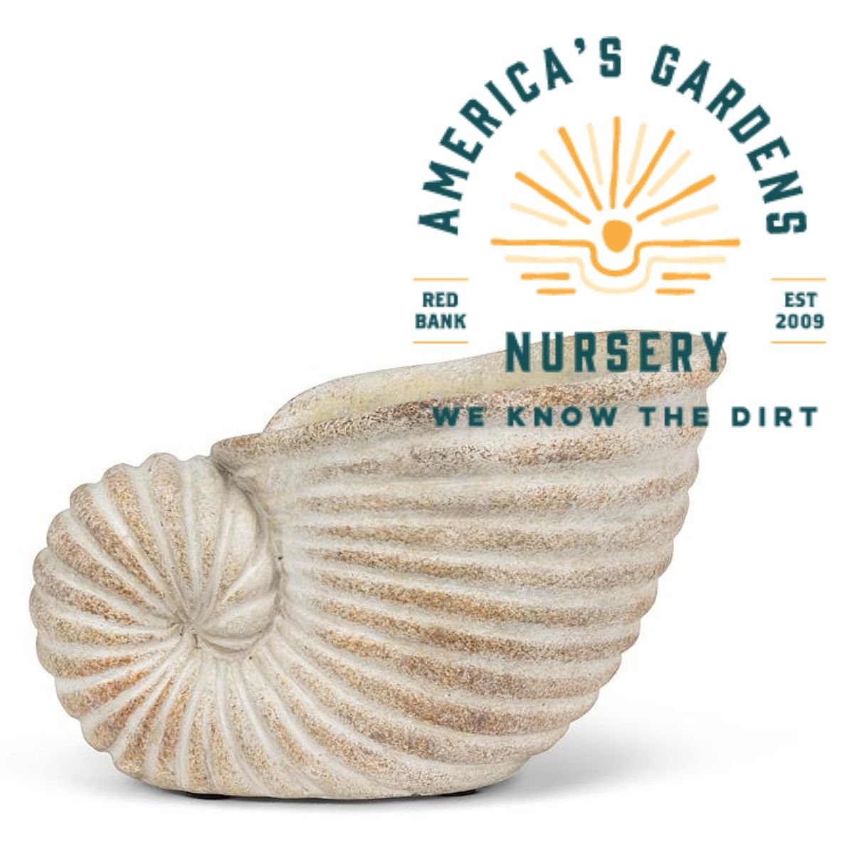 Nautilus Planter - America's Gardens Nursery