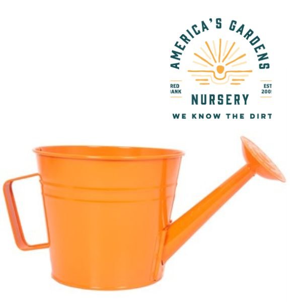 Orange Watering Can/Planter - America's Gardens Nursery
