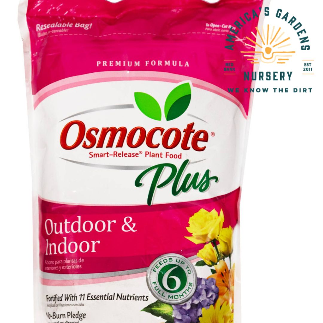 Osmocote Plus Outdoor and Indoor Plant Food - America's Gardens Nursery