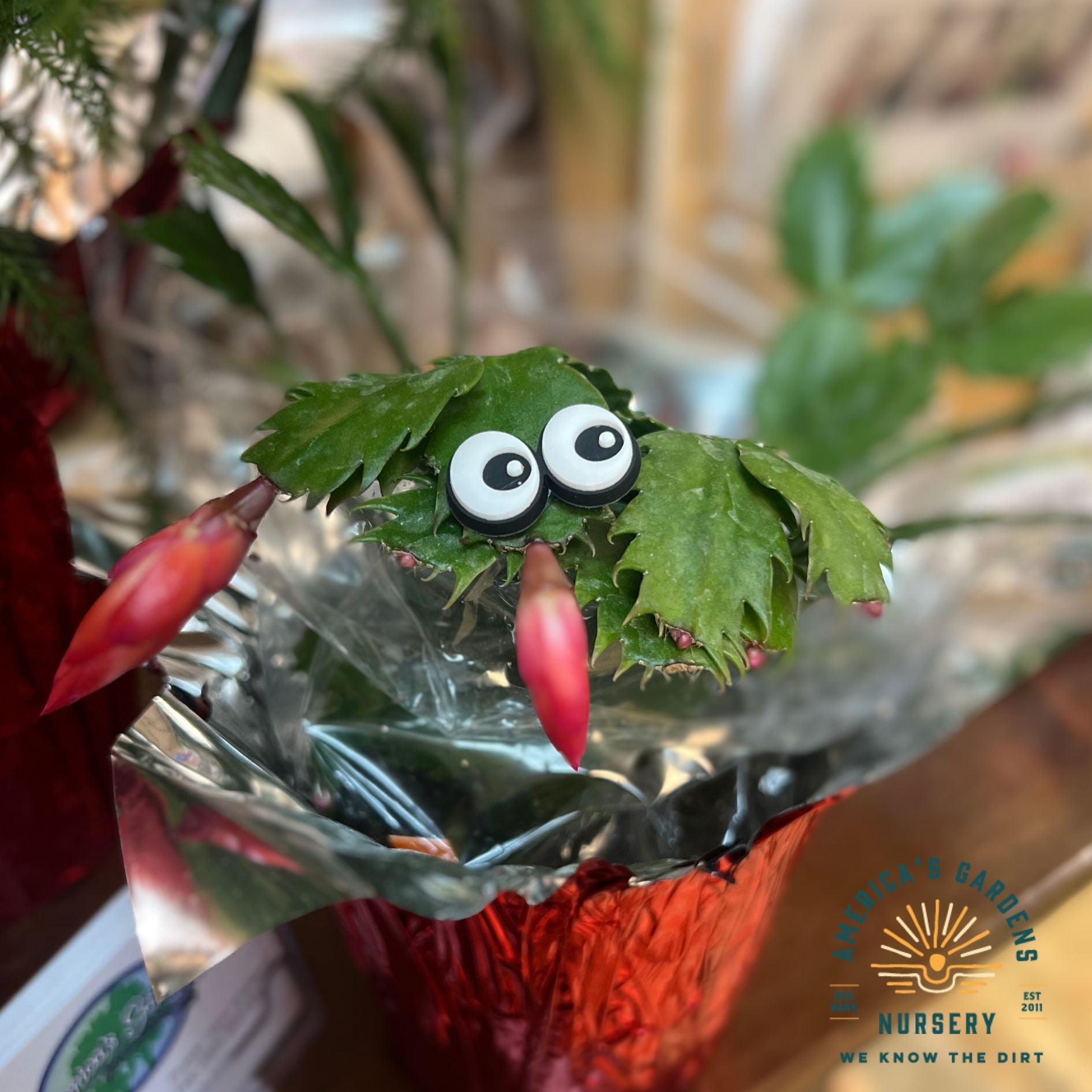 Plant Magnets - America's Gardens Nursery