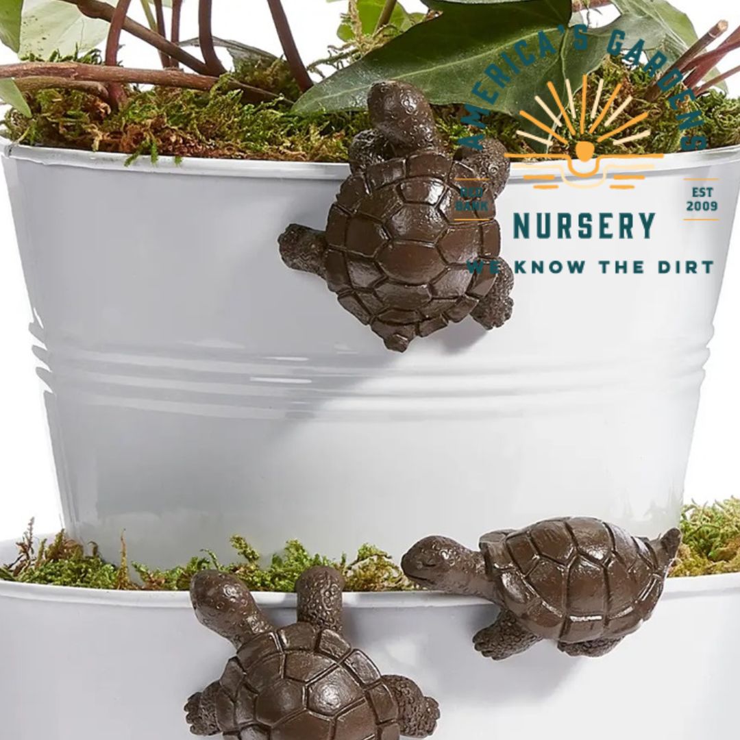 Pot Huggers - America's Gardens Nursery