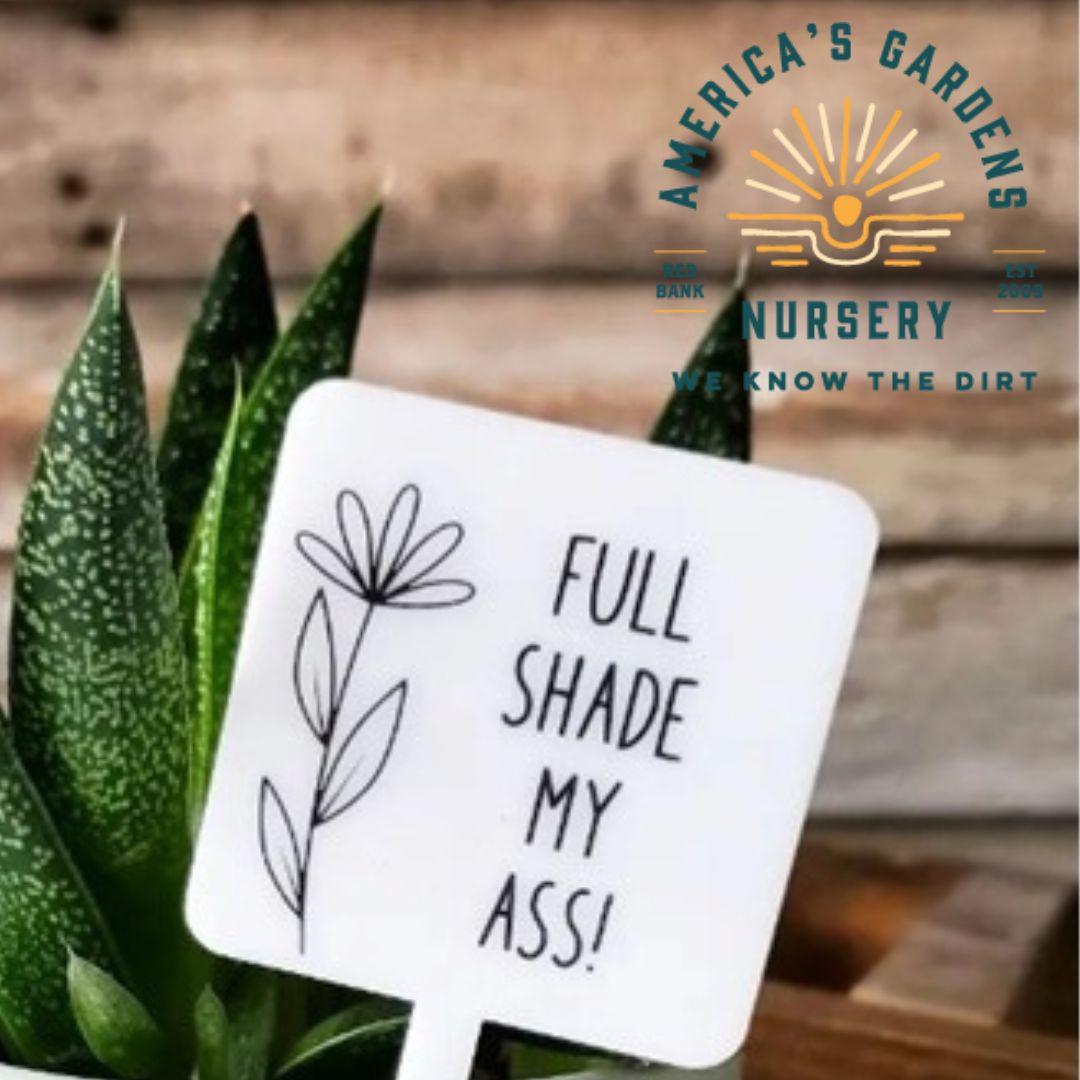 Snarky Plant Marker - America's Gardens Nursery