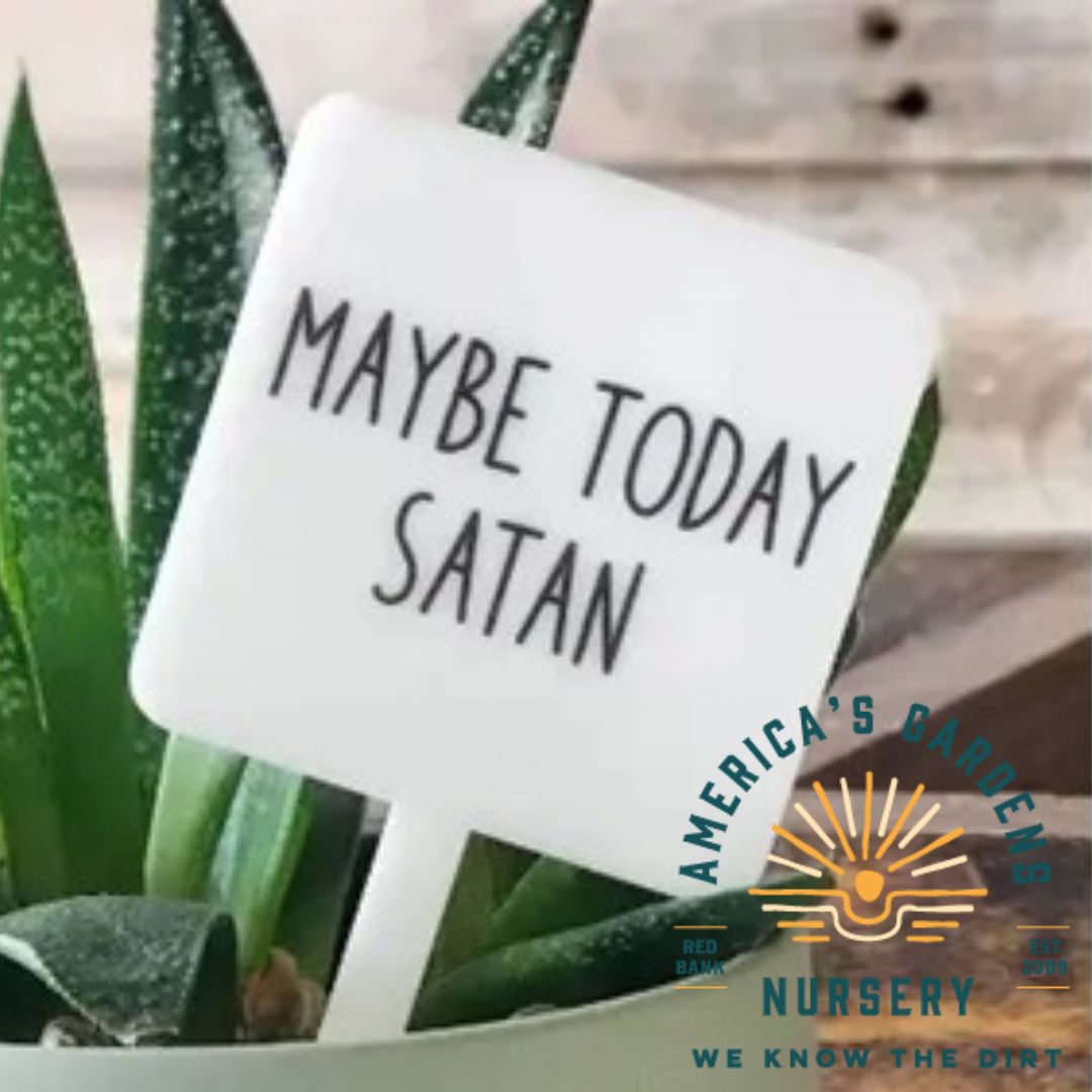 Snarky Plant Marker - America's Gardens Nursery
