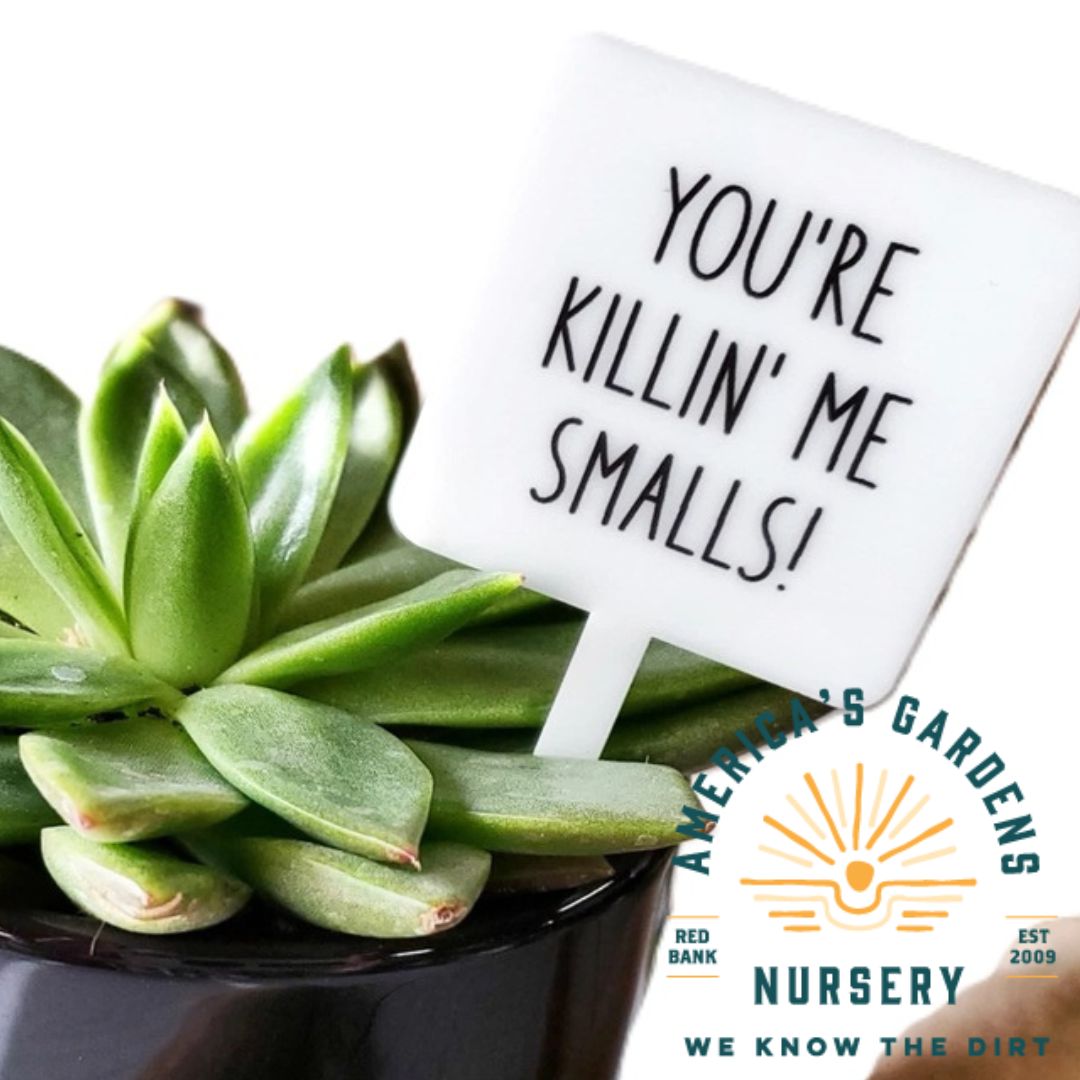 Snarky Plant Marker - America's Gardens Nursery