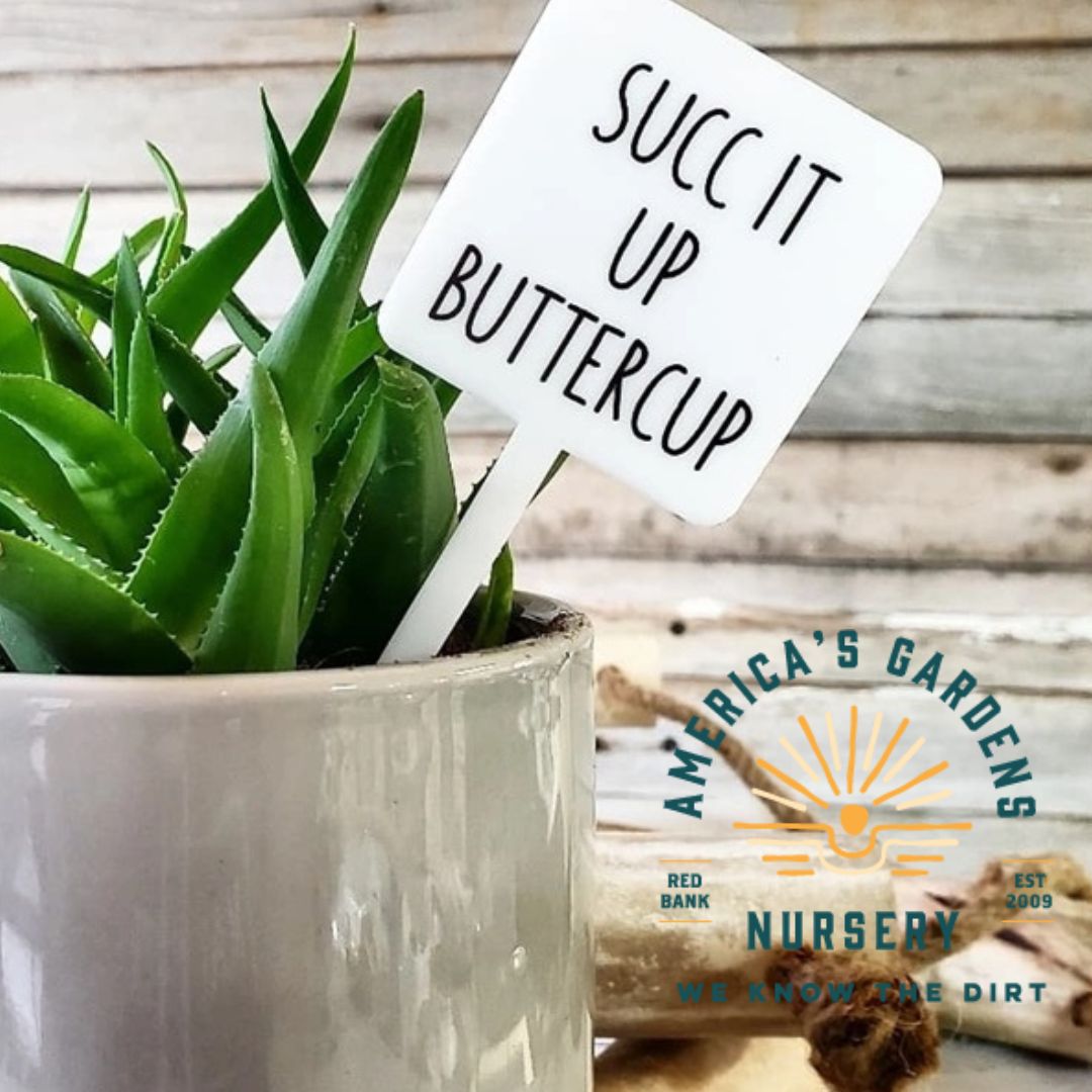Snarky Plant Marker - America's Gardens Nursery