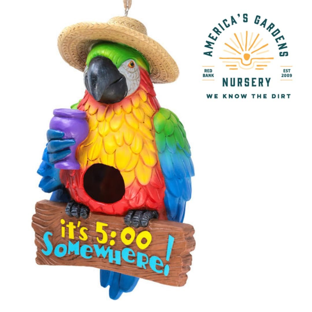 Spoontiques Birdhouses - America's Gardens Nursery