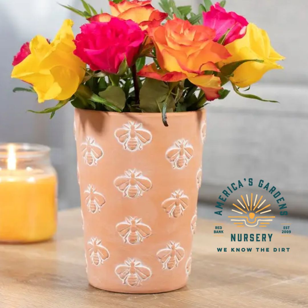 Terracotta Bee Pattern Pot - America's Gardens Nursery