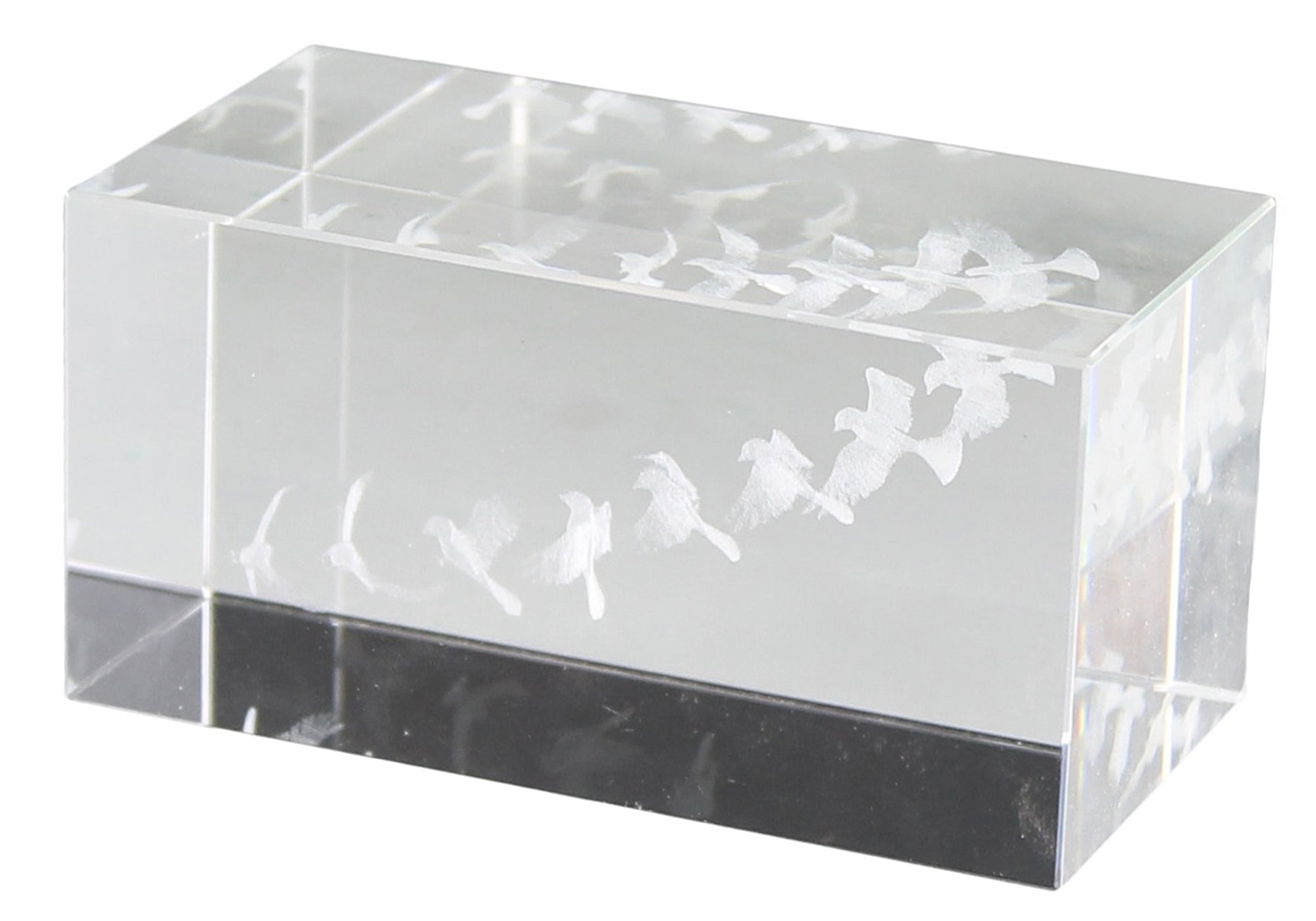 Glass Hologram Birds in Flight