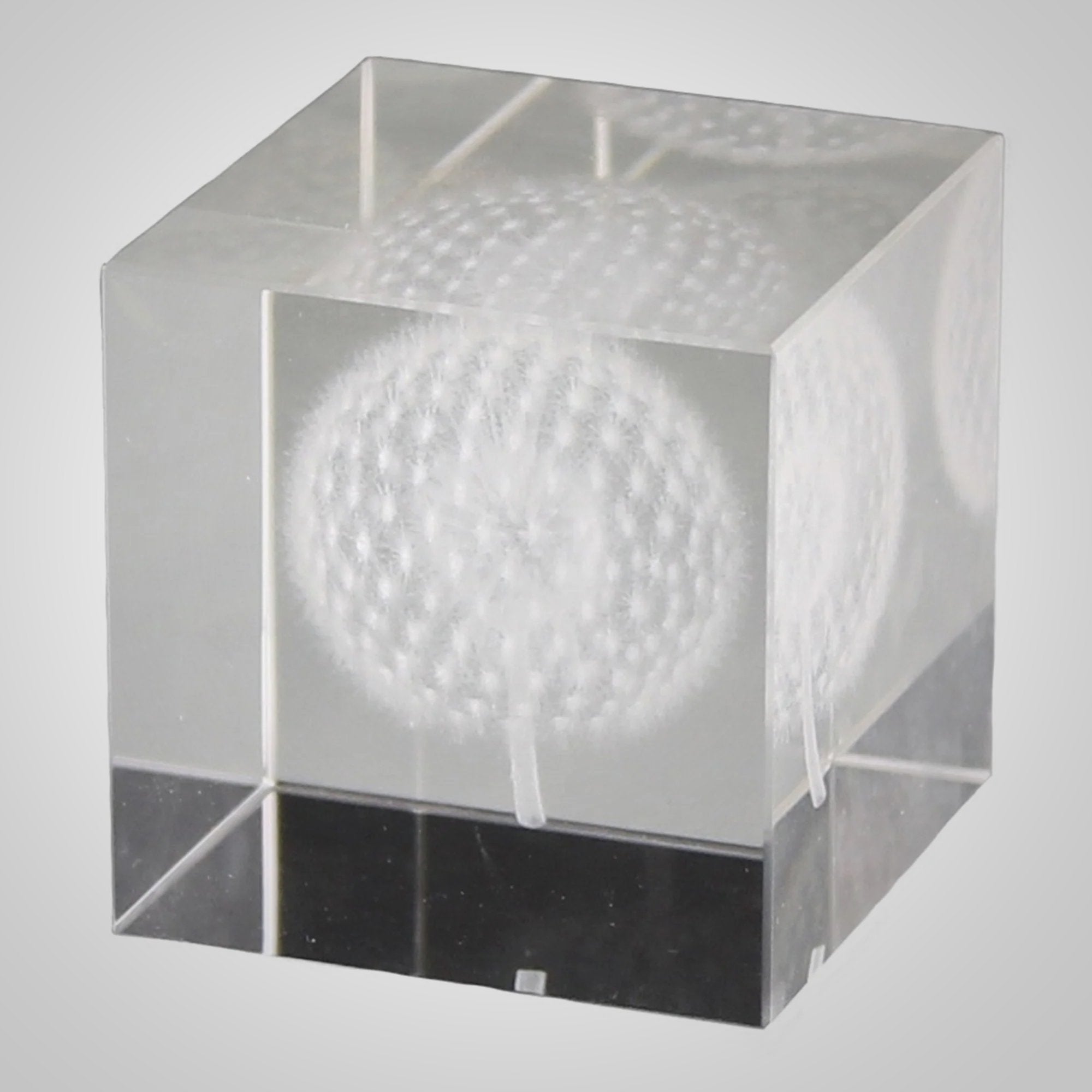Glass Hologram Dandelion
