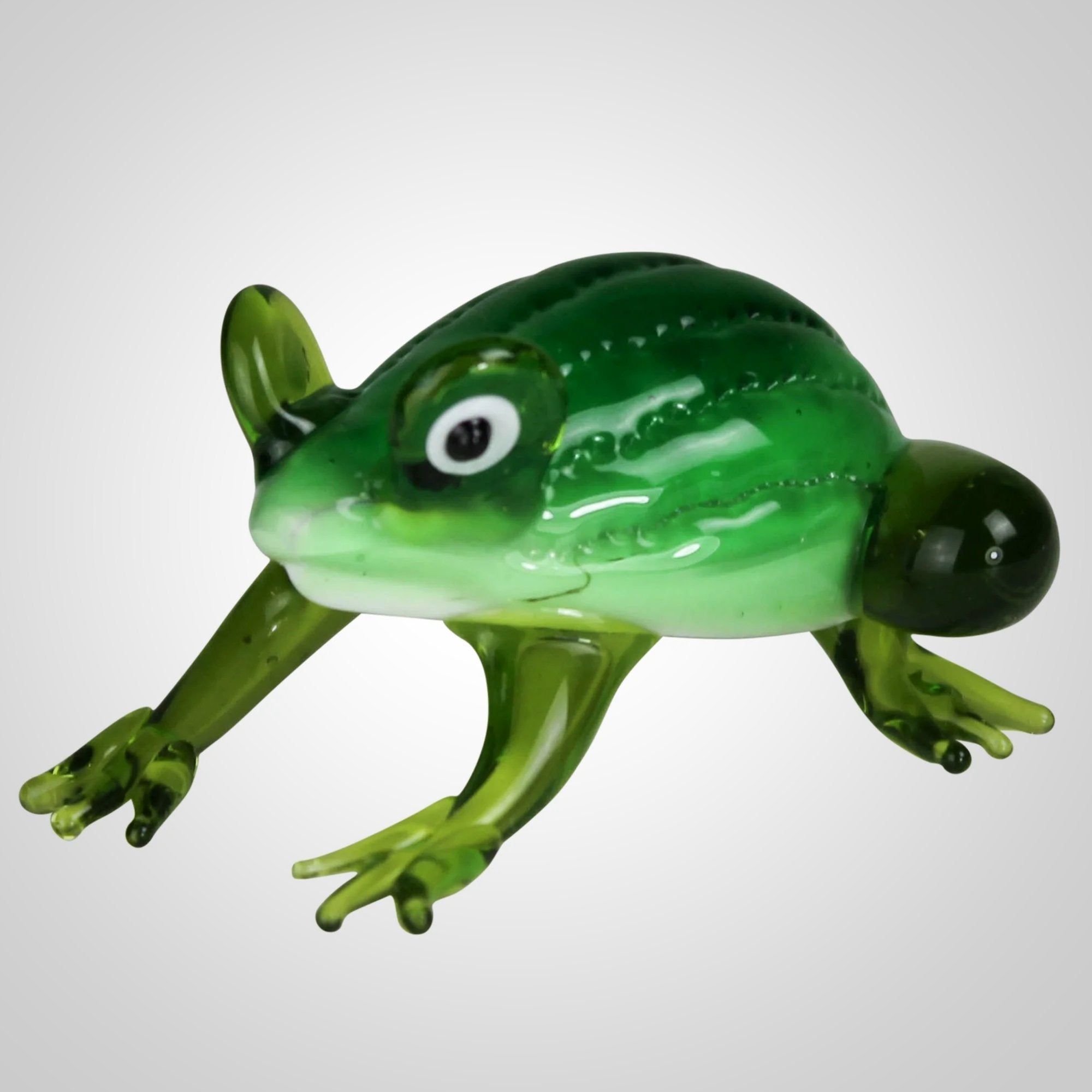 Glass Frog