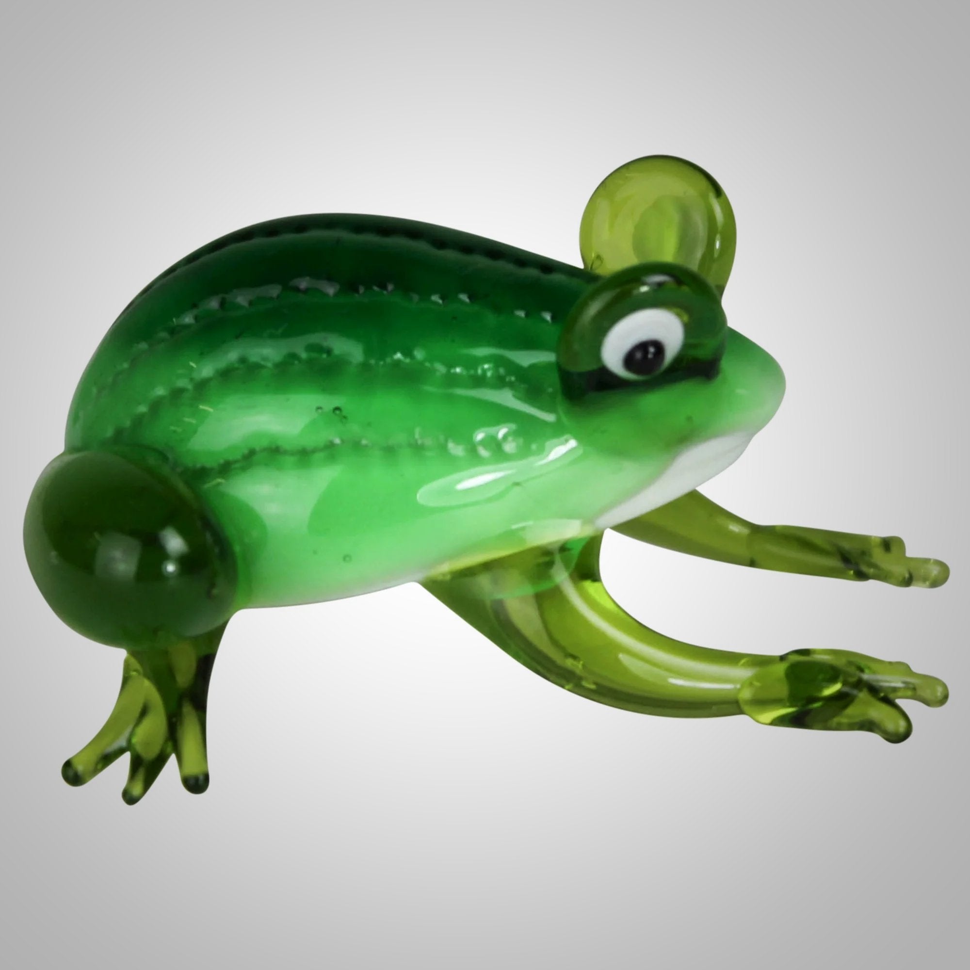 Glass Frog