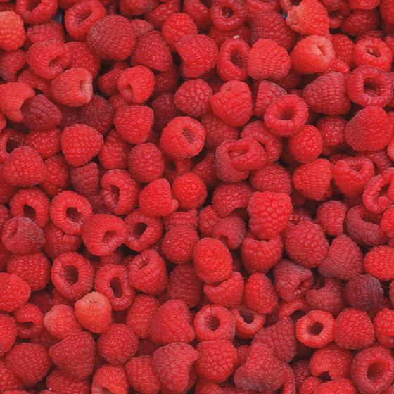 Heritage Red Raspberry
