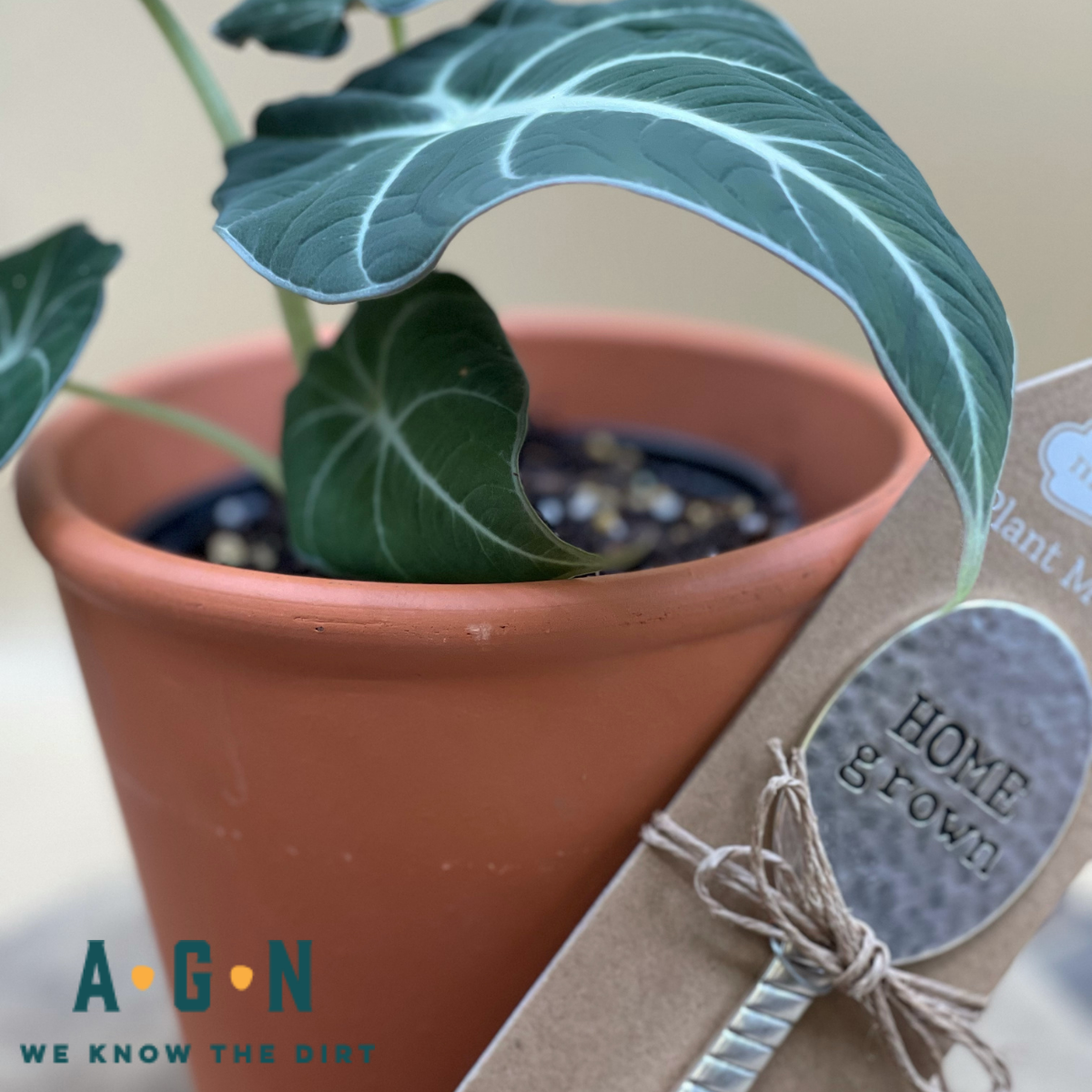 Garden Marker, Hammered Spoon