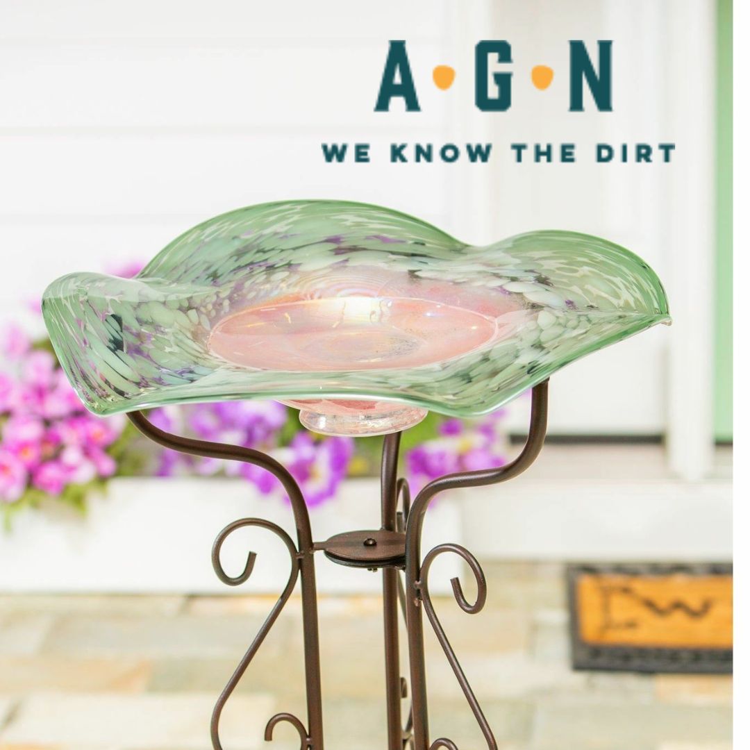 Textured Glass Bird Bath