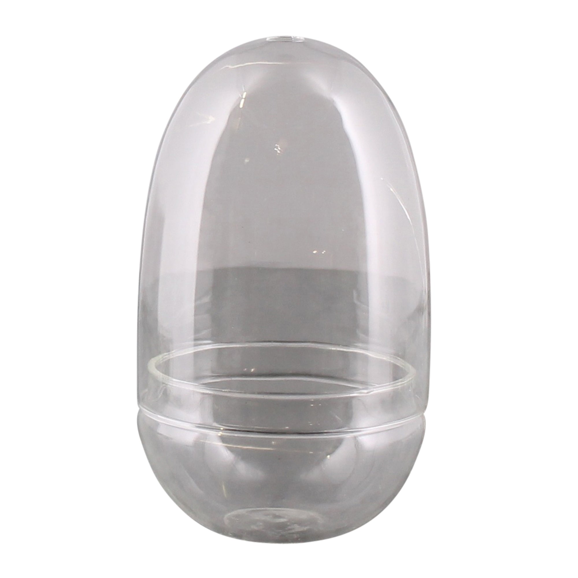 Oval Glass Sole Terrarium