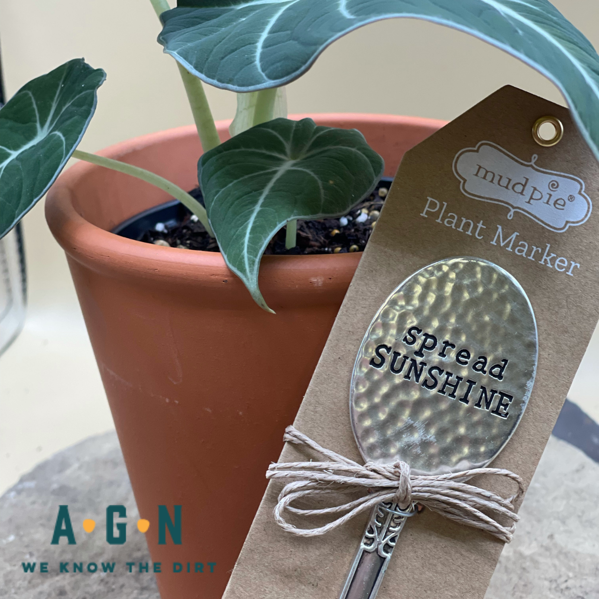 Garden Marker, Hammered Spoon