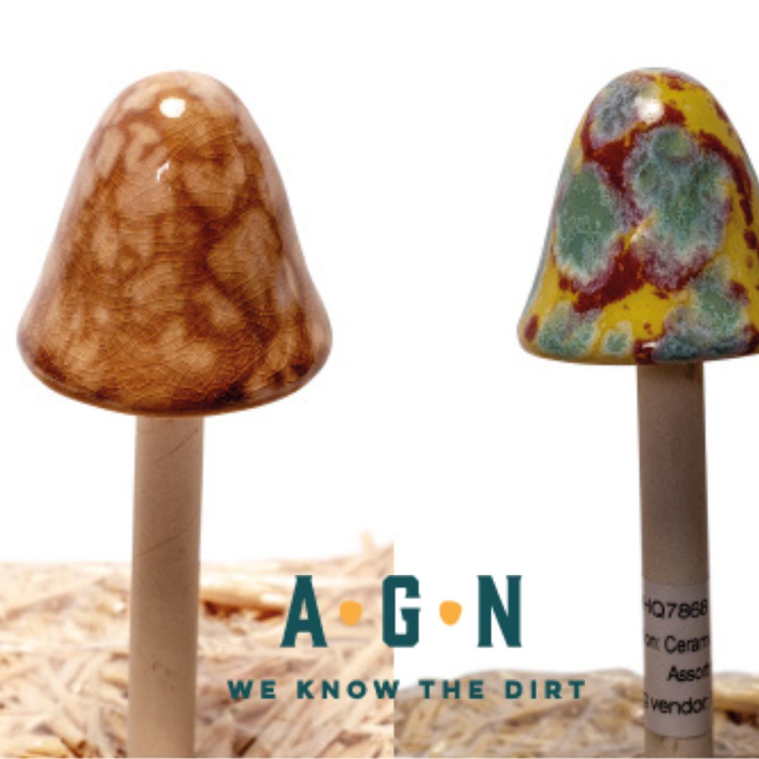 Terra Verde Ceramic Mushrooms