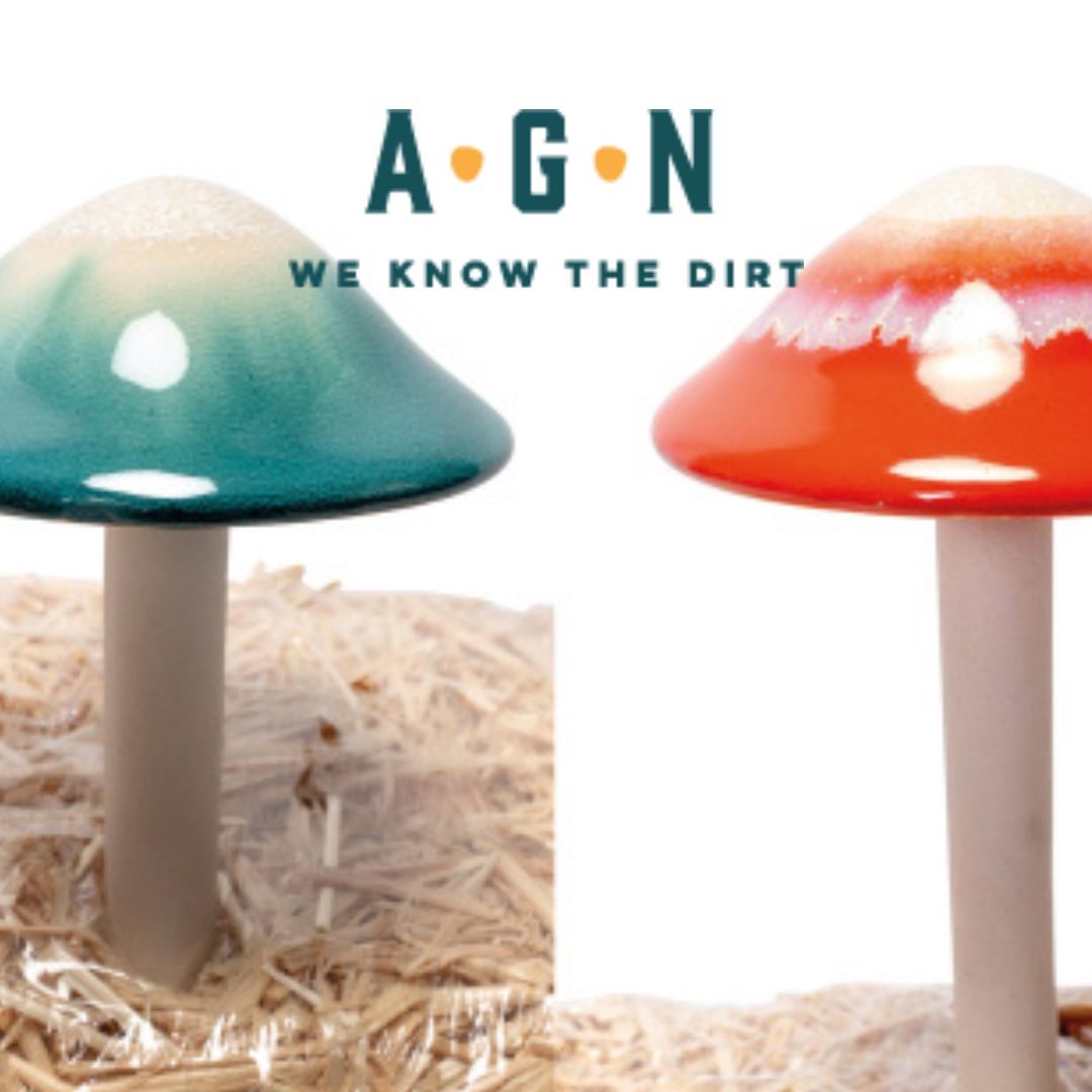 Terra Verde Ceramic Mushrooms
