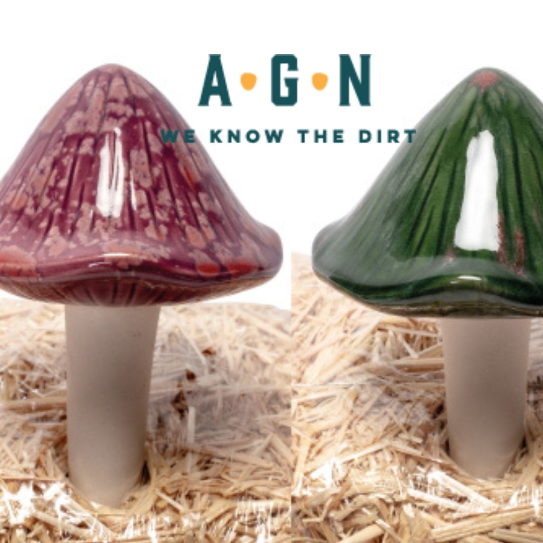Terra Verde Ceramic Mushrooms