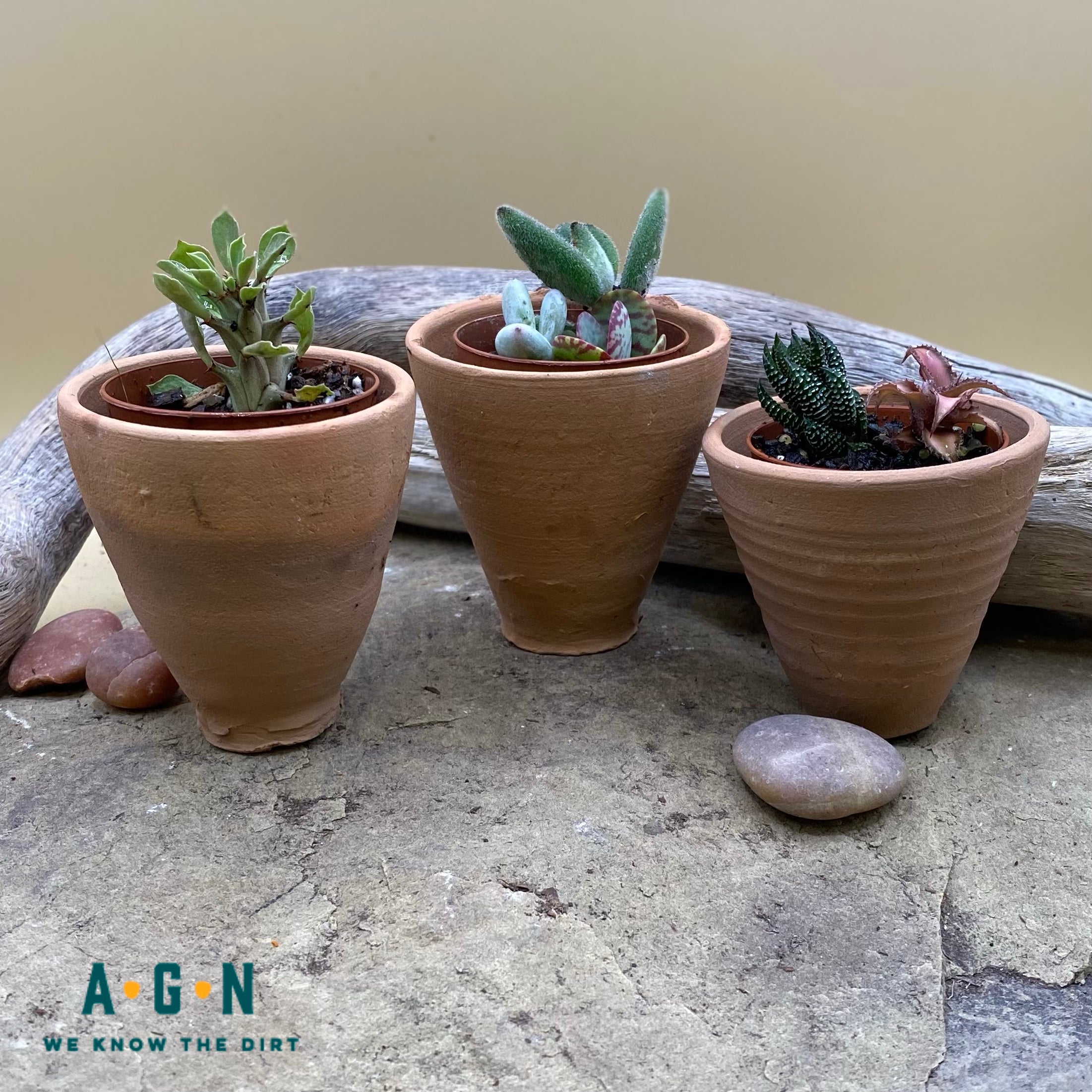 Rustic Terra Cotta Pots, 2in