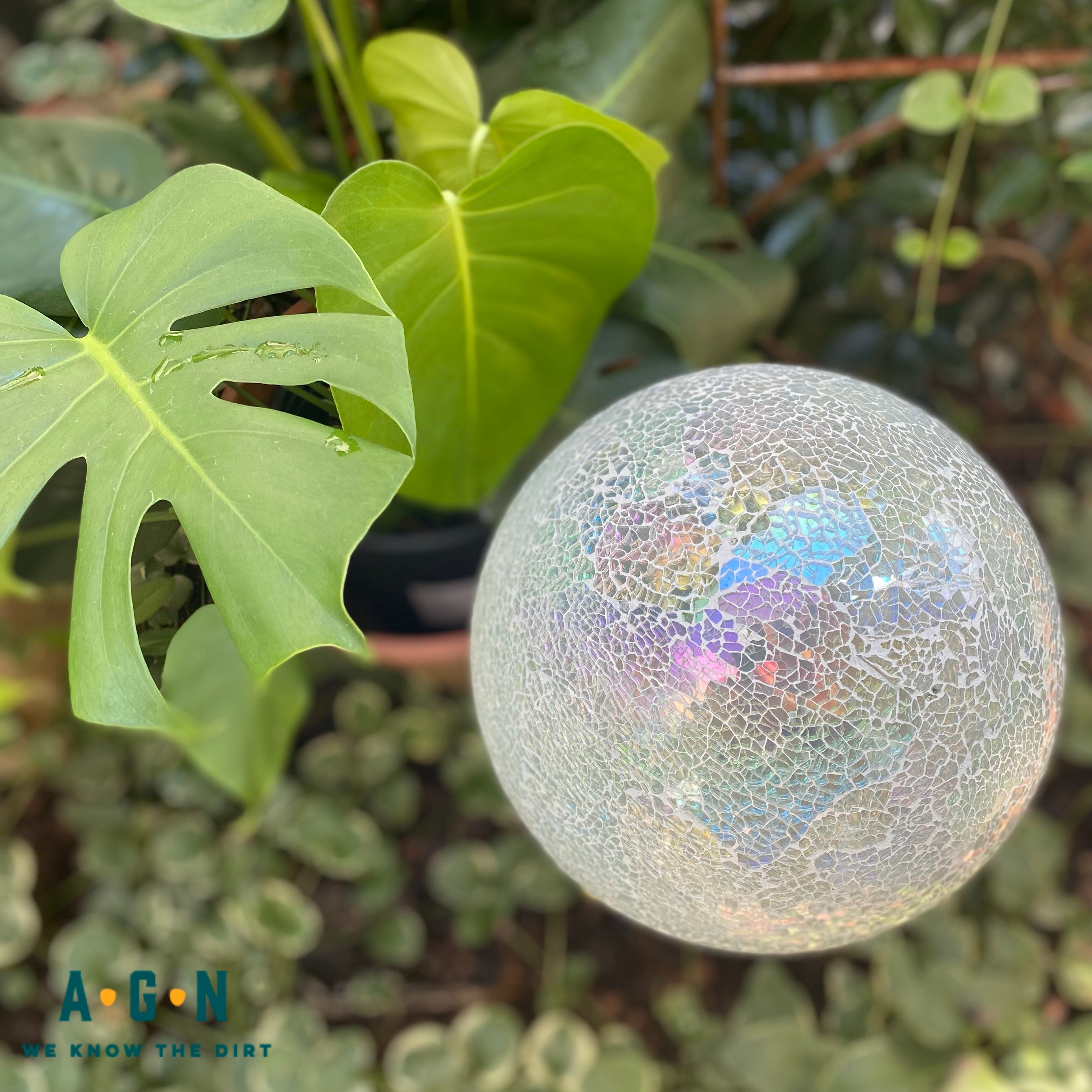 Gazing Globes