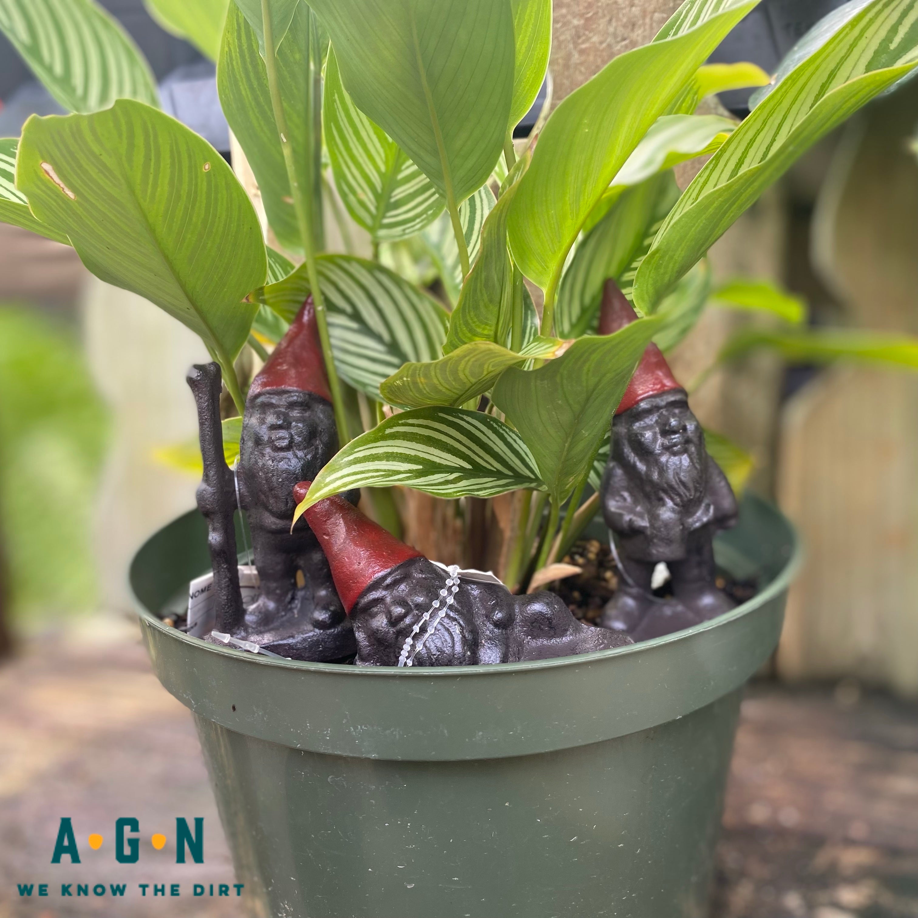 Plant Stake Gnome w/ Red Hat