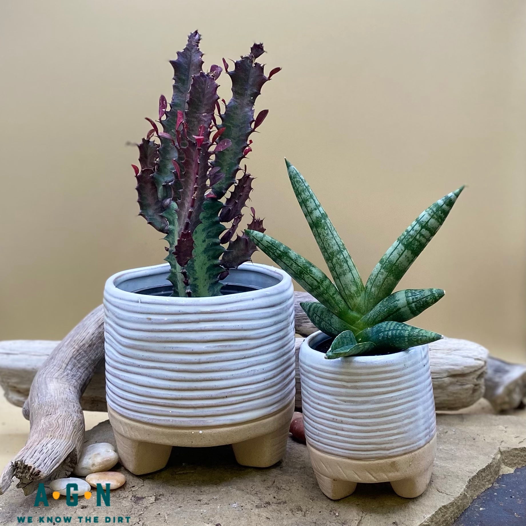 Ramos Horizontal Stripe Cachepot Stoneware 4in