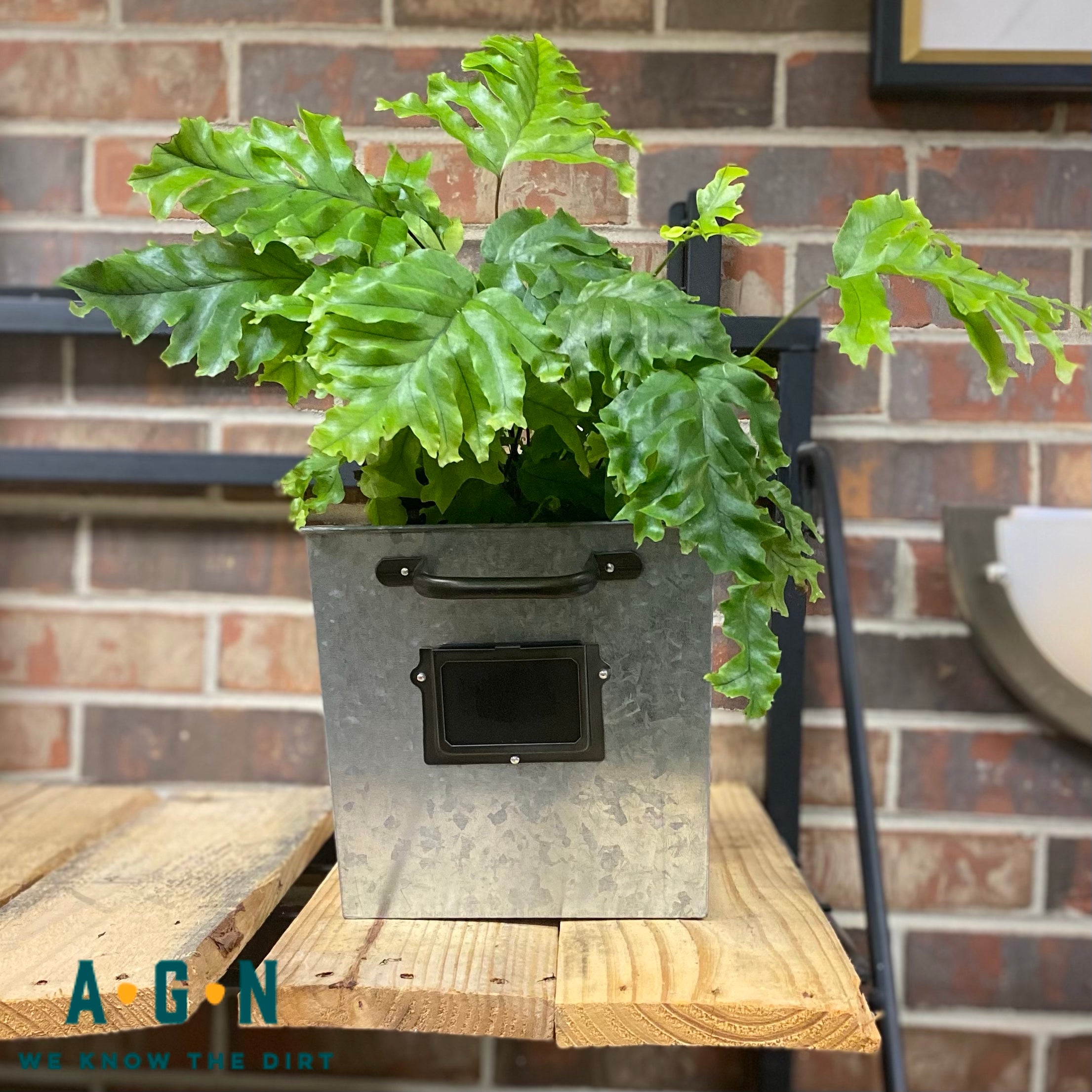 Rustic Farmhouse Chalkboard Planter