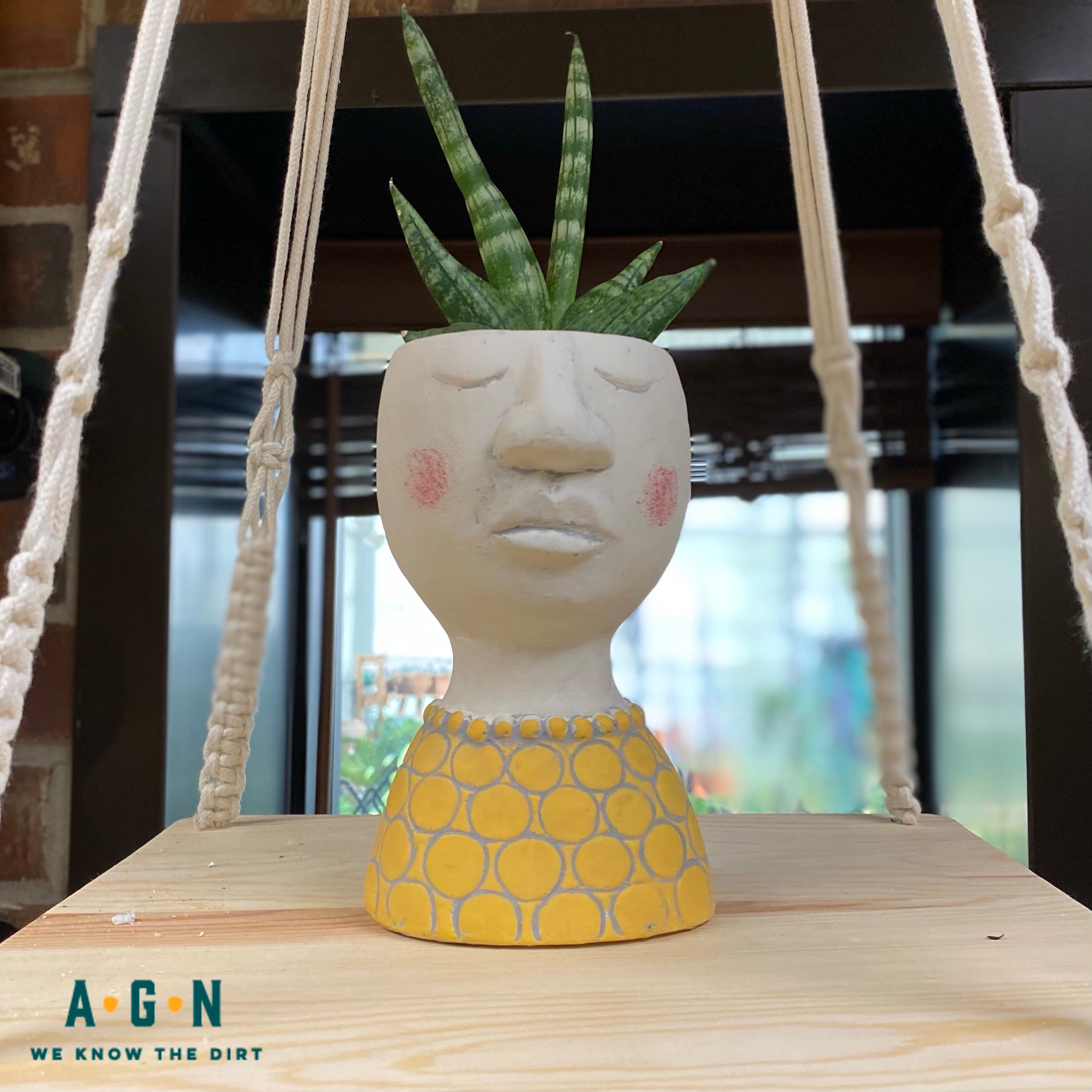 Small Head Planter
