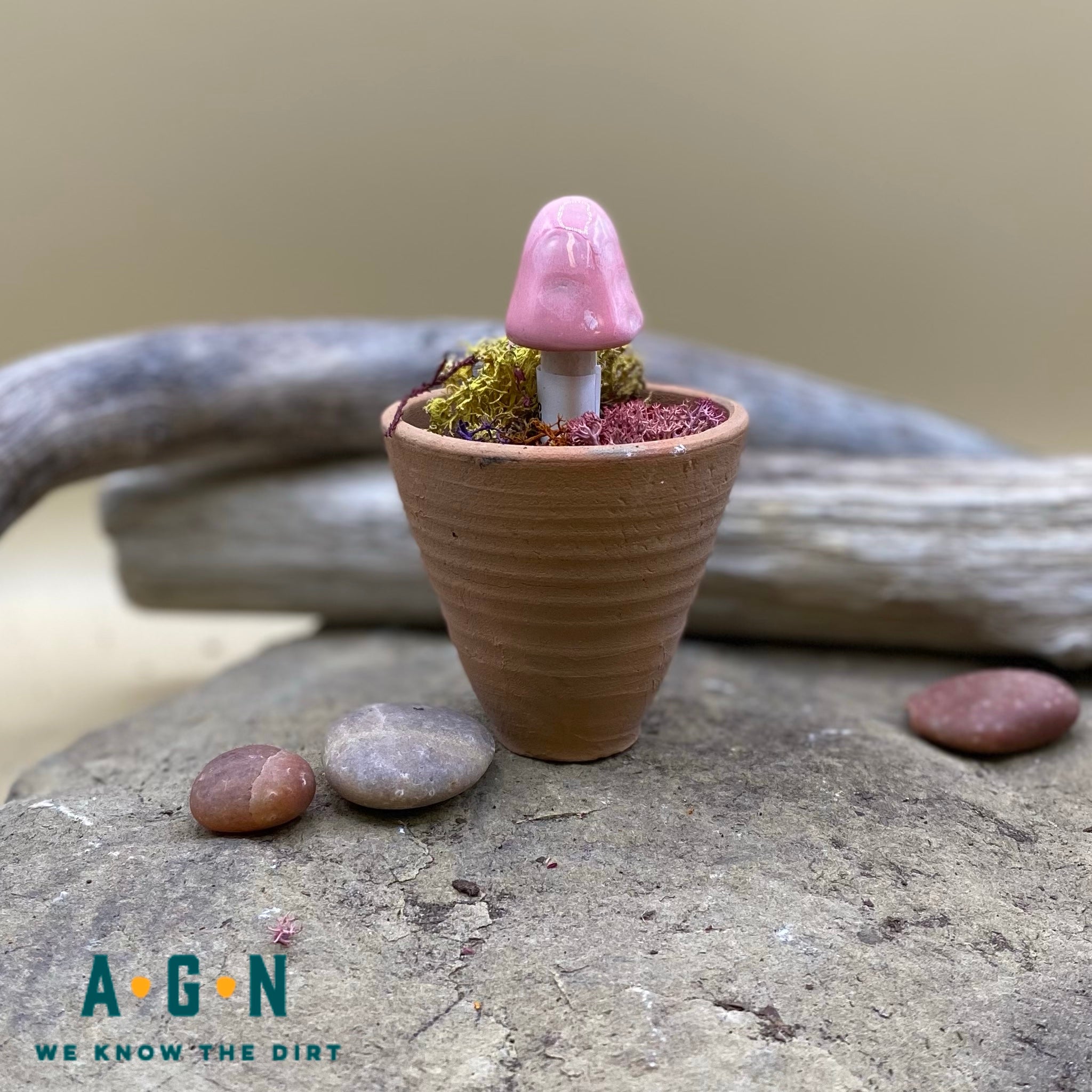 Gum Drop Shroomyz (Mushrooms)