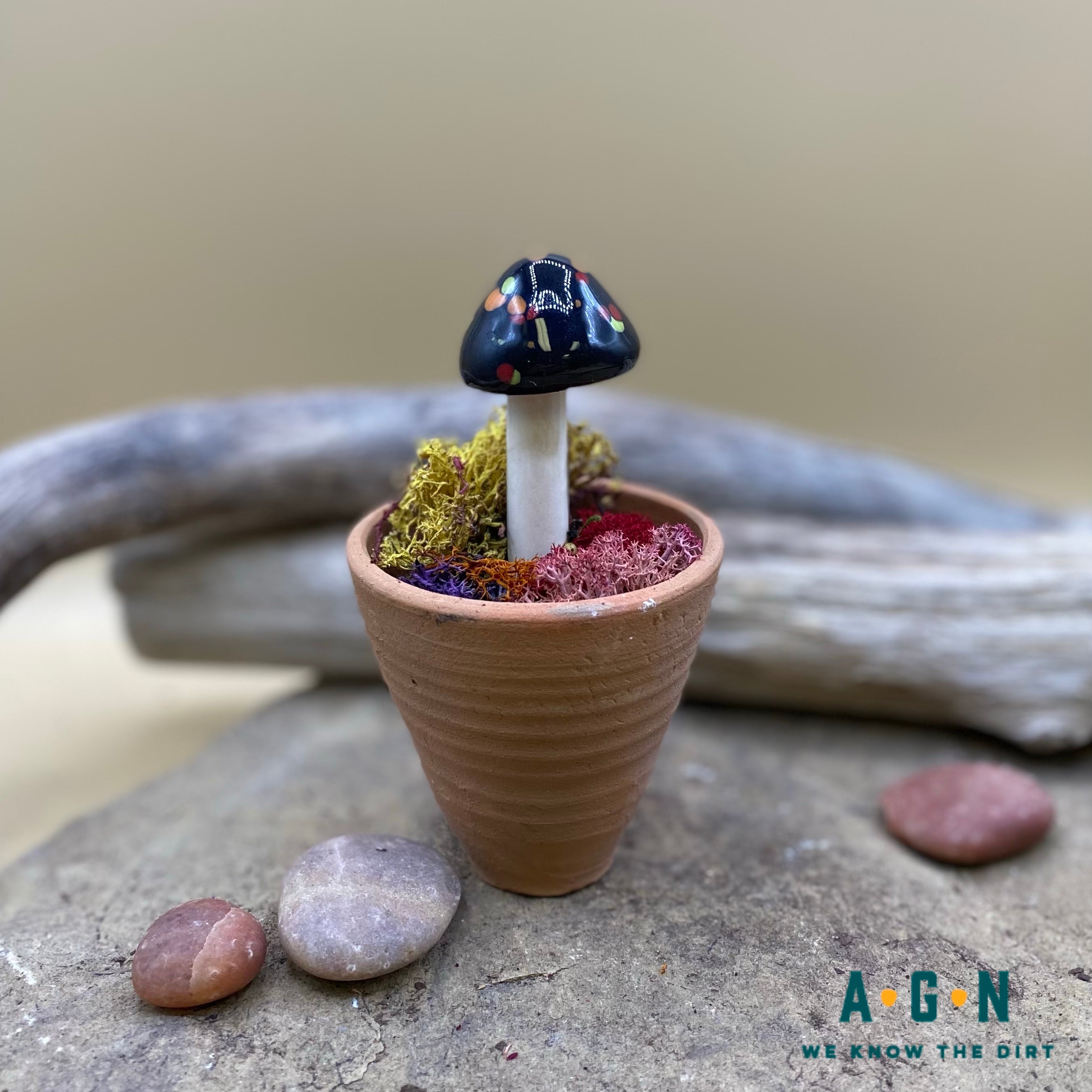 Gum Drop Shroomyz (Mushrooms)