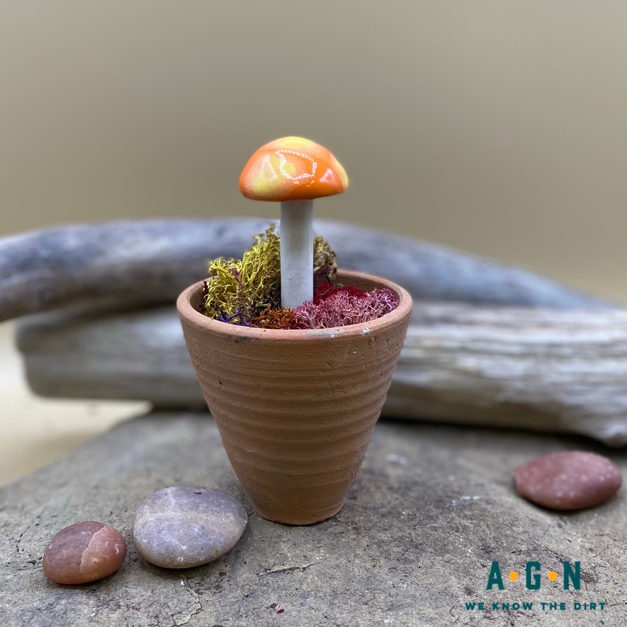 Gum Drop Shroomyz (Mushrooms)