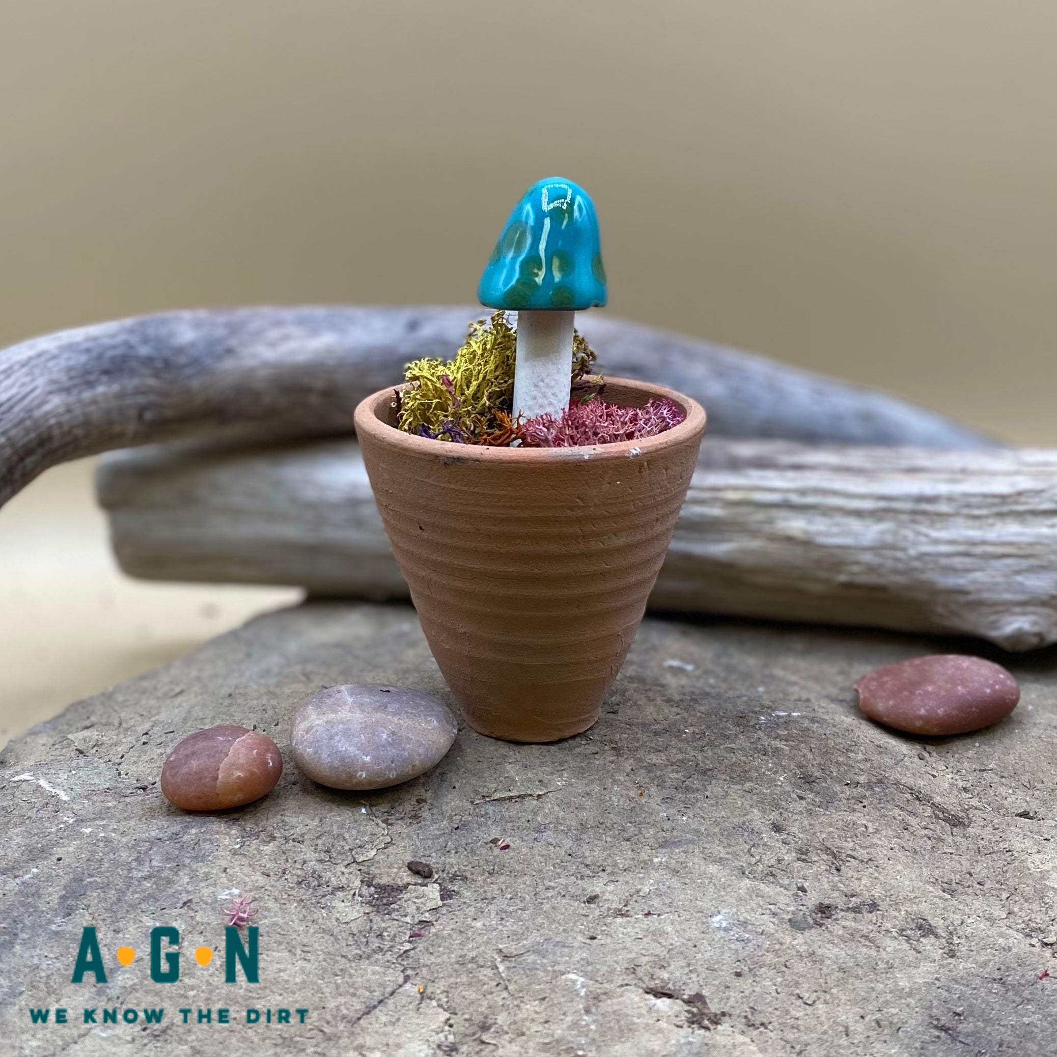 Gum Drop Shroomyz (Mushrooms)