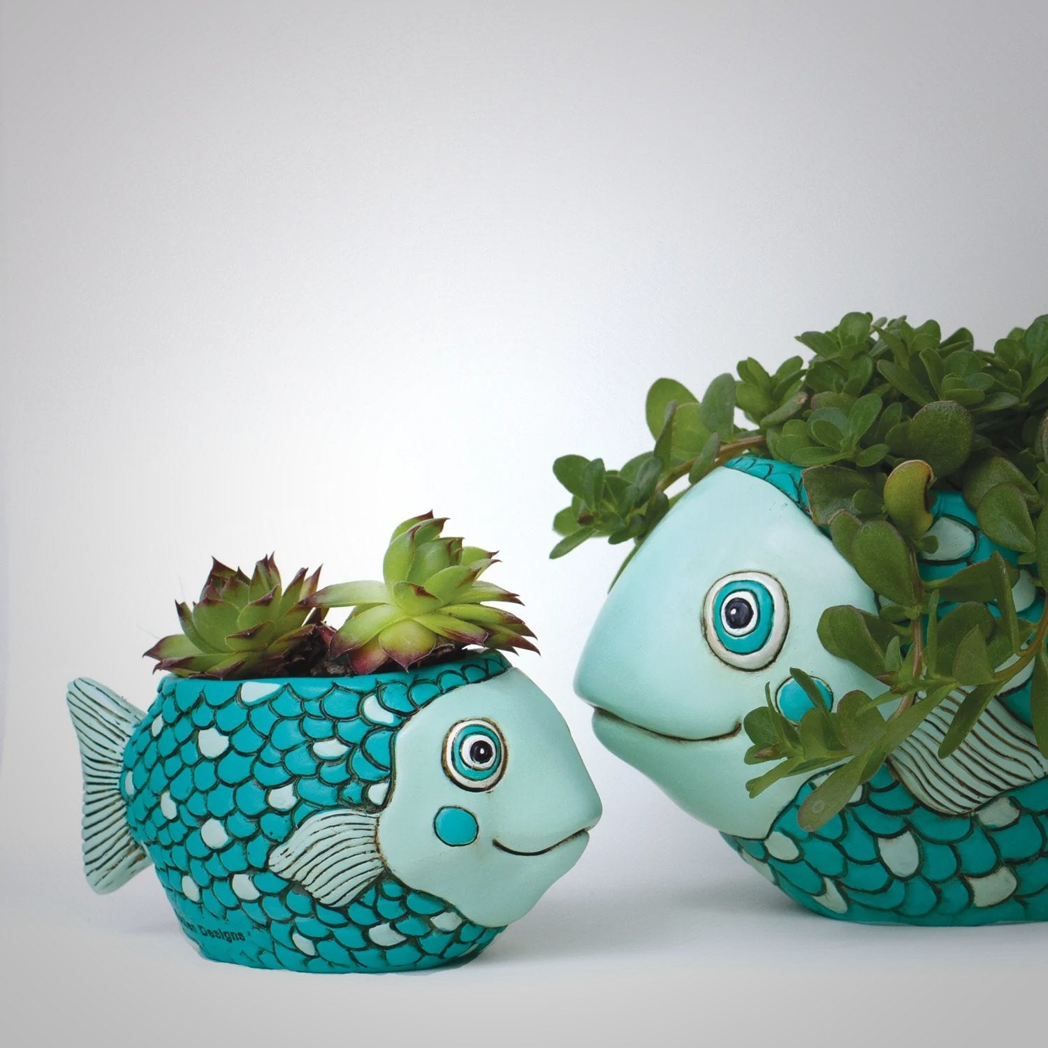 Baby Teal Fish Planter - America's Gardens Nursery