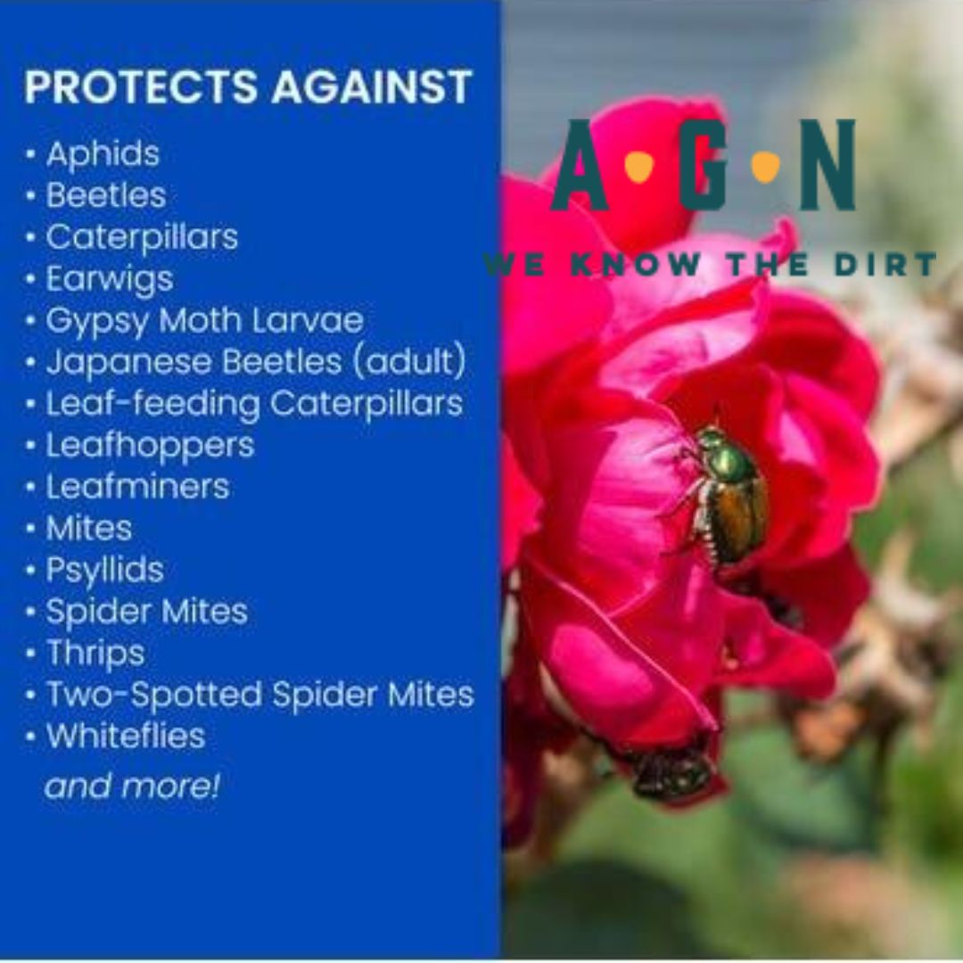 BioAdv 3 N 1 Insect, Disease & Mite Control - America's Gardens Nursery