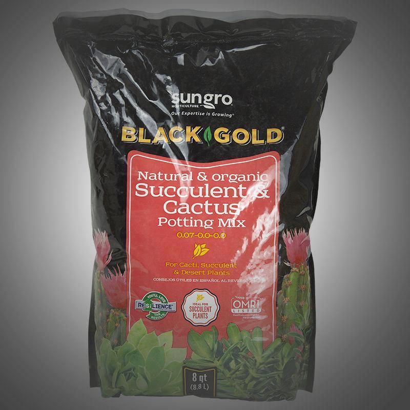 Black Gold® Natural & Organic Succulent & Cactus Potting Soil Mix , 8qt - America's Gardens Nursery