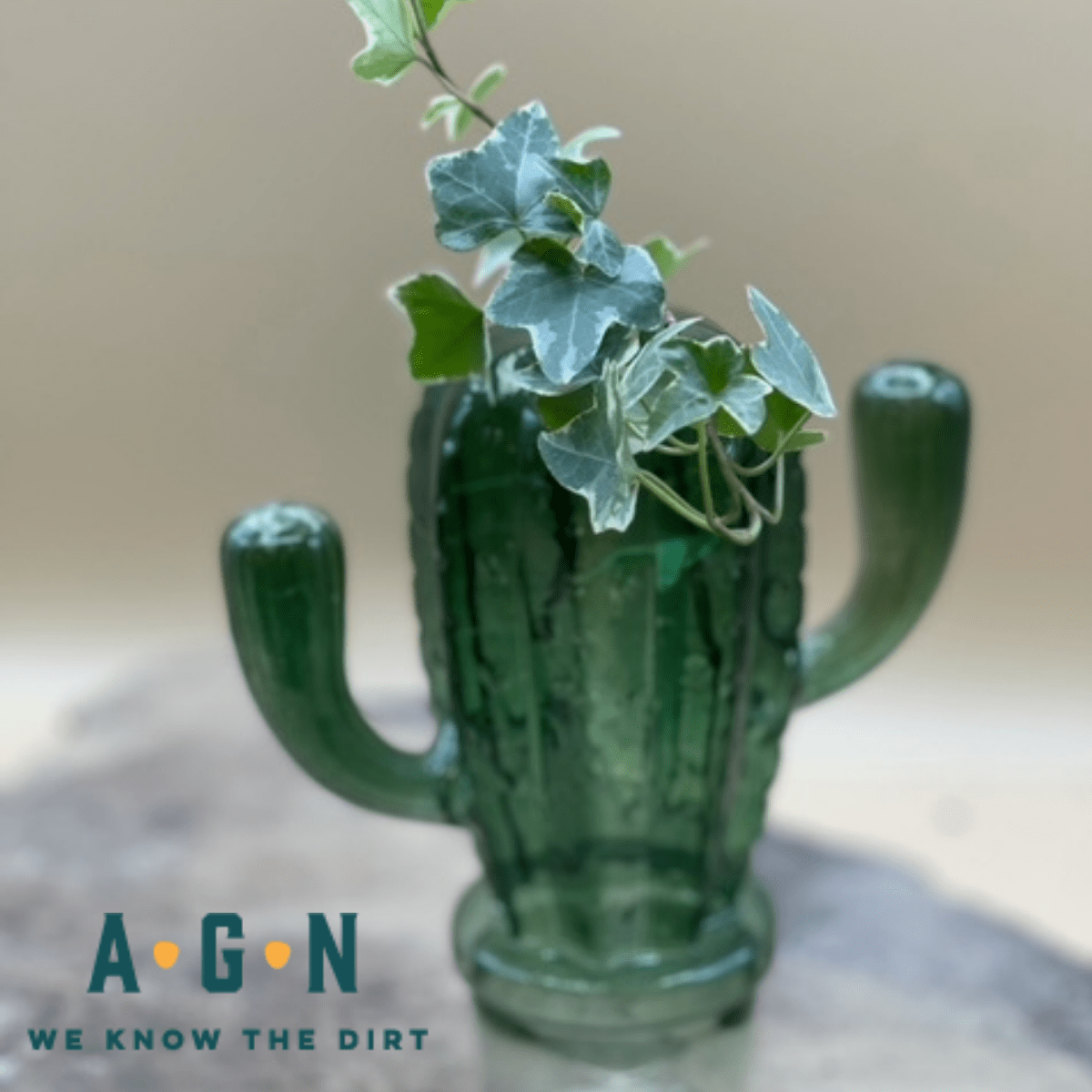 Cactus Vase, Glass - America's Gardens Nursery