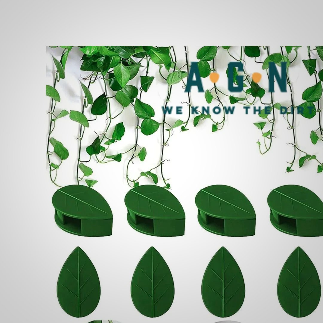 Climbing Wall Fixture Clips (w/Sticker) - America's Gardens Nursery