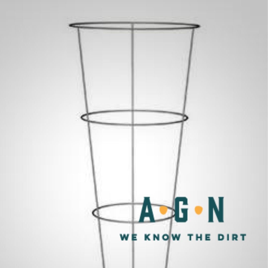 Heavy Duty Galvanized Tomato Cage - America's Gardens Nursery