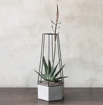 Indio Planter Cement Large