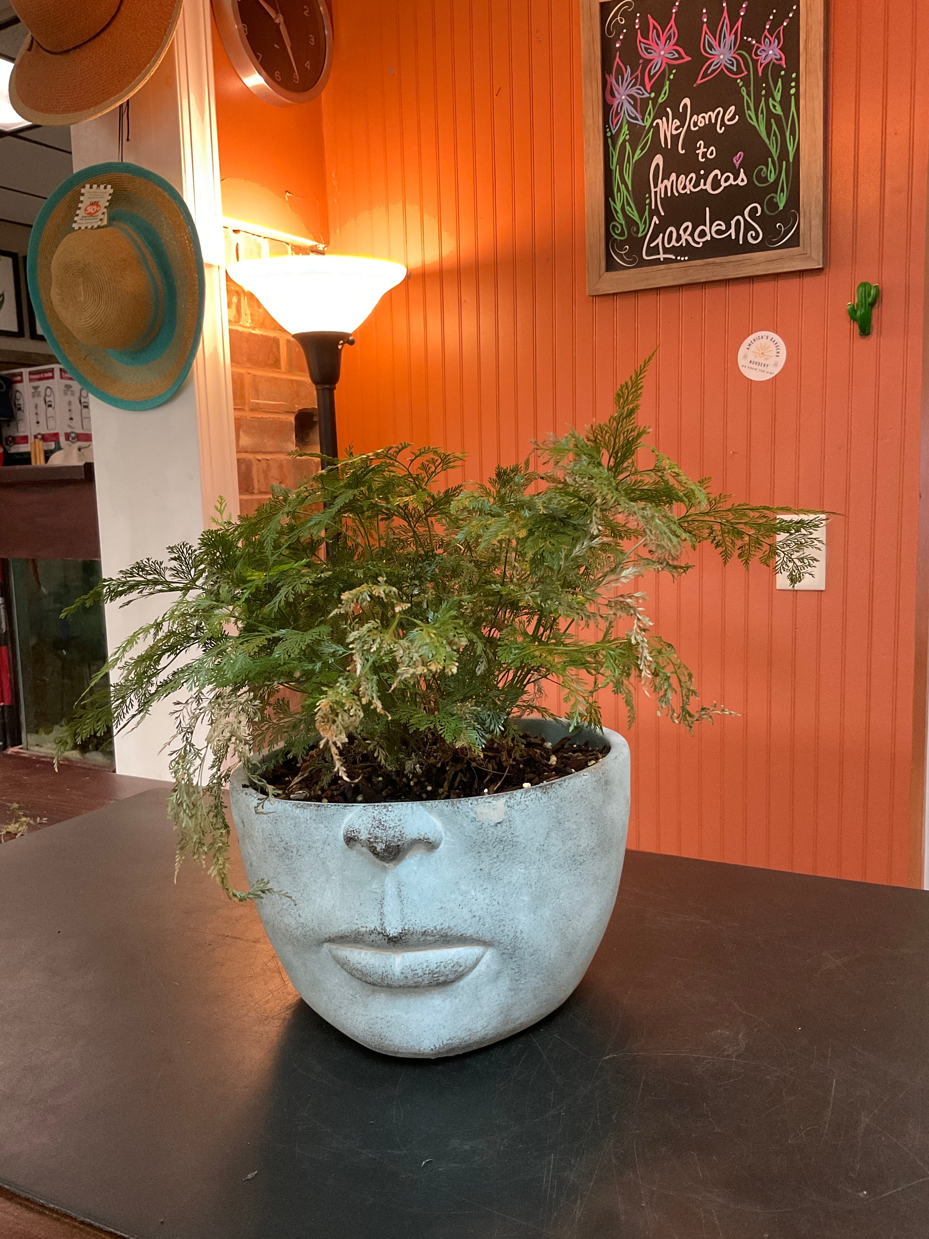 Half Face Pot