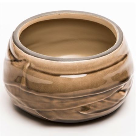 Filled Isabella Bowl Planter 4.9"