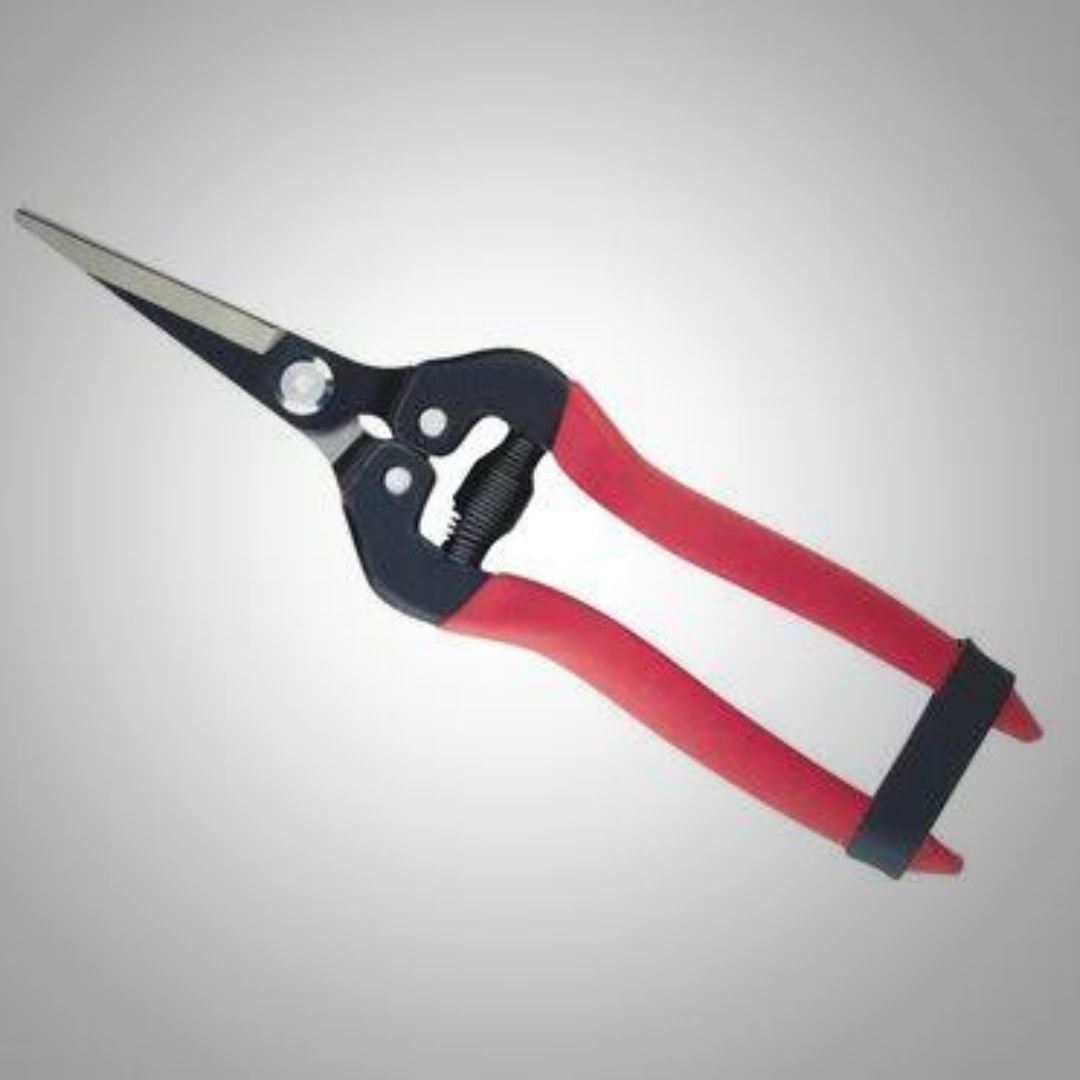 Long Straight Snip Pruner - America's Gardens Nursery